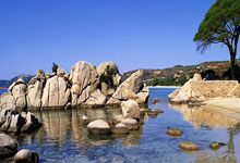 开云体育中国官网-冰与火之歌，当斯洛伐克的铁壁，撞上孙兴慜的最后一舞